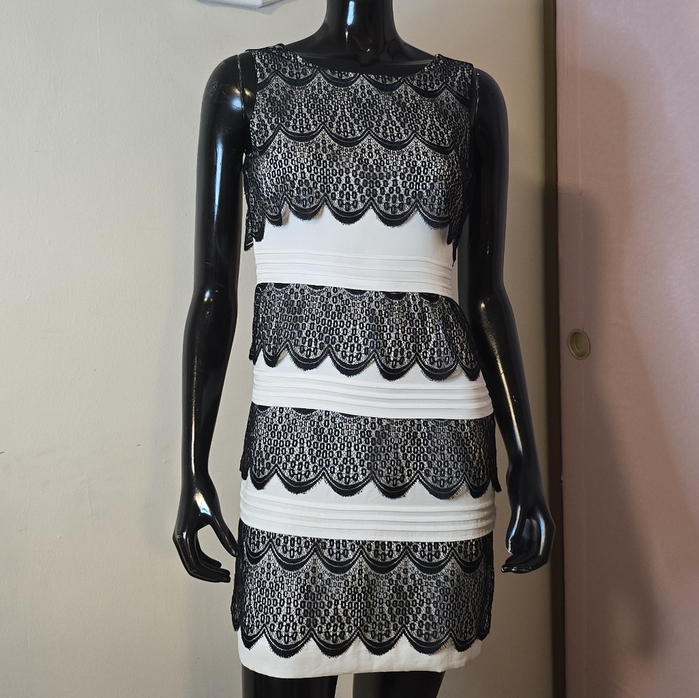 Lace Fitted Dress